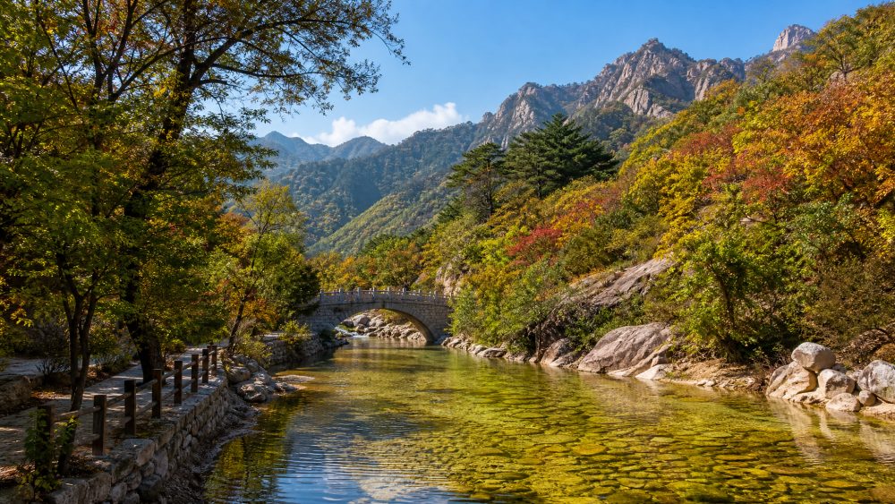 昆嵛山秋色从石门桥铺开,沿山路一路走到九龙池