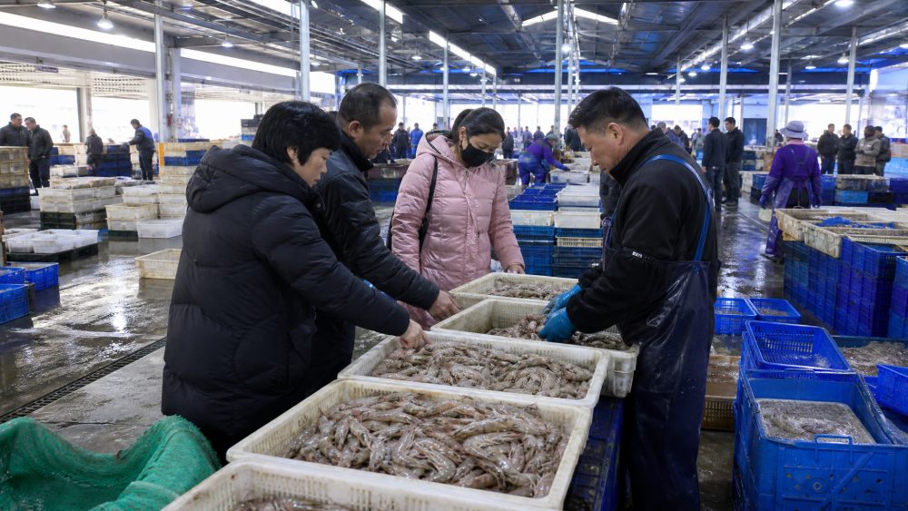 烟台买海鲜去哪儿?九田市场清晨的交易最热闹