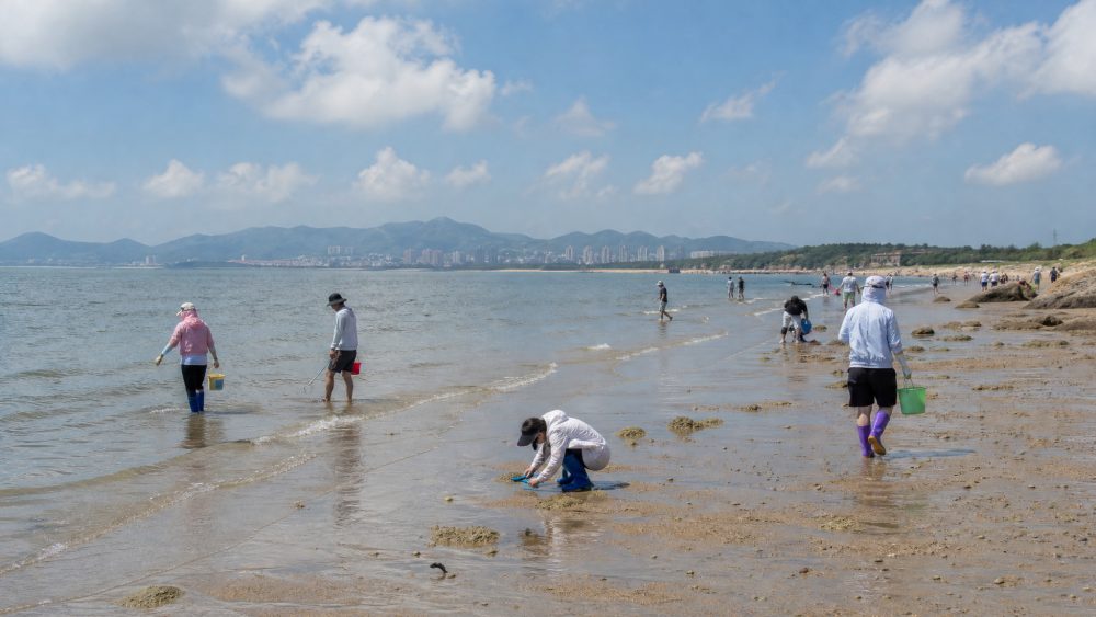 赶海看着像是带上工具就能满载而归,真到了海边,却没这么简单