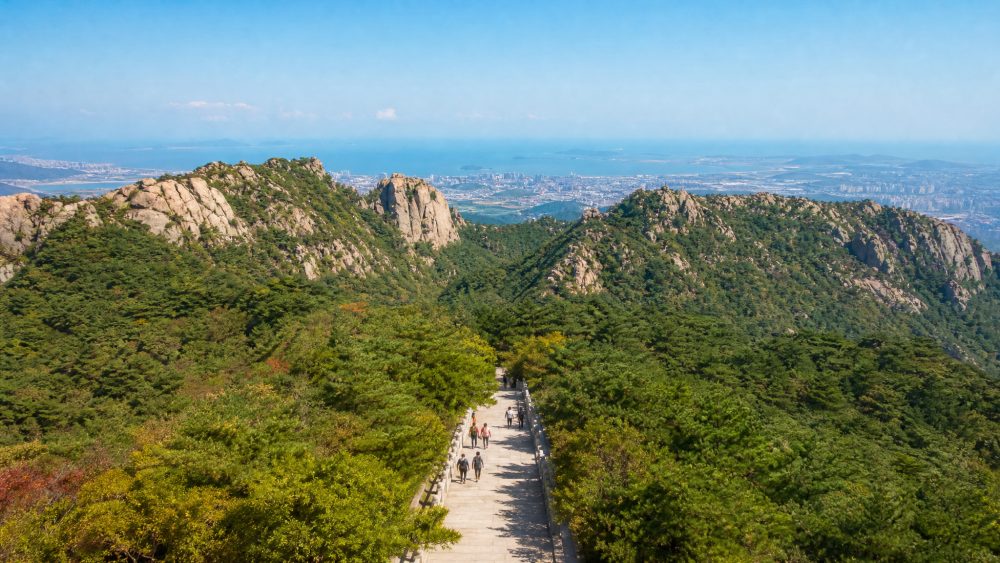 烟台罗山国家森林公园怎么玩?先别把塔山登山赛当成攻略