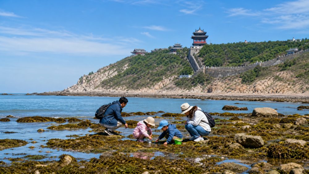 烟台蓬莱想赶海,先别急着找滩涂名字