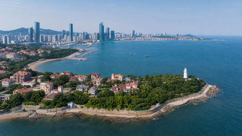 会议传递的发展信号其实,这场会议传达学习了习近平总书记在庆祝中华