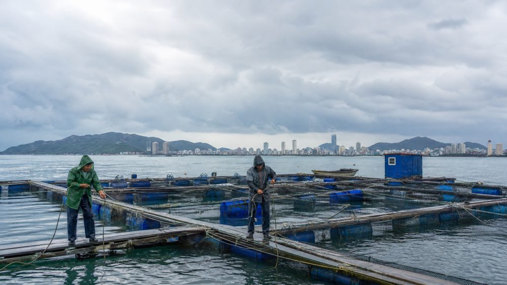 烟台10月17日至18日有明显降雨大风,沿海养殖户需提前防范