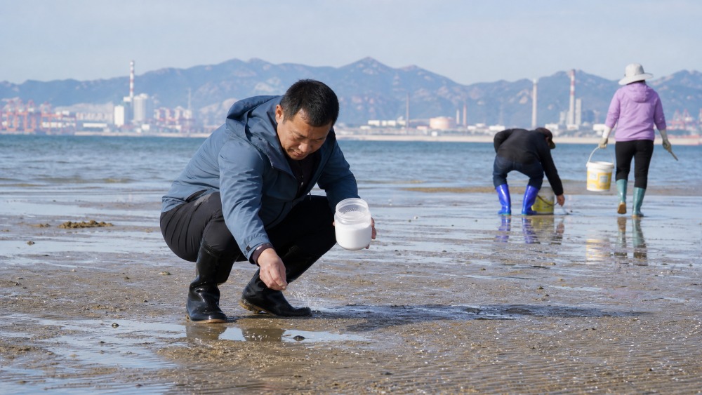 沙滩上散布着赶海小孔